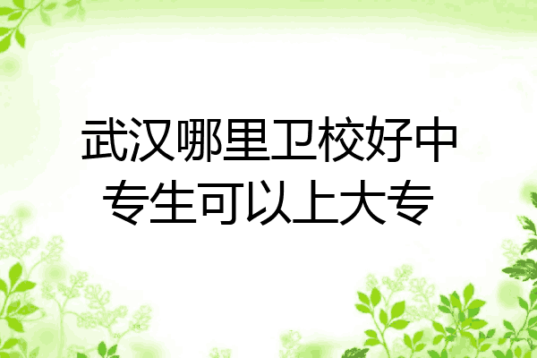 武汉哪里卫校好中专生可以上大专