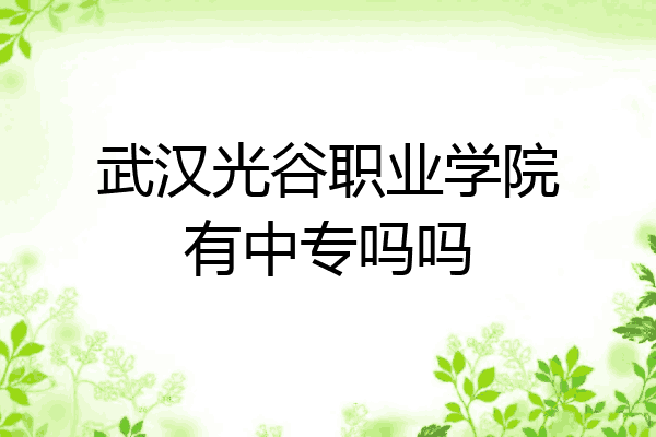 武汉光谷职业学院有中专吗吗