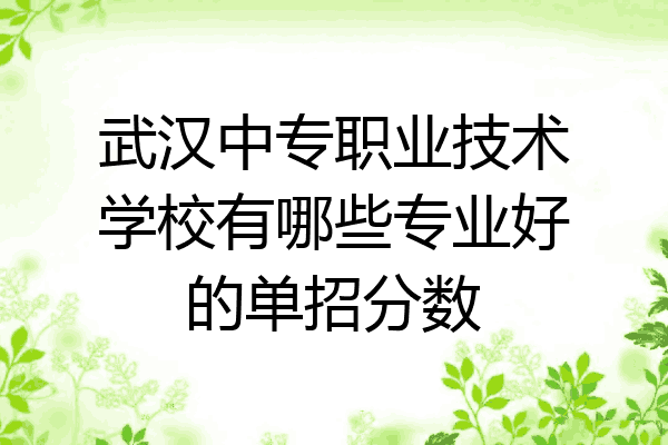 武汉中专职业技术学校有哪些专业好的单招分数