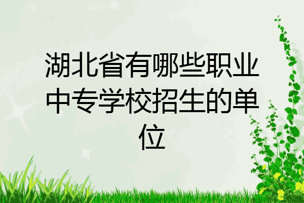 湖北省有哪些职业中专学校招生的单位