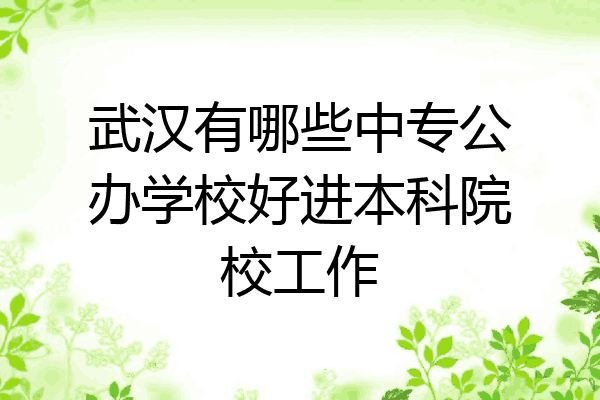 武汉有哪些中专公办学校好进本科院校工作