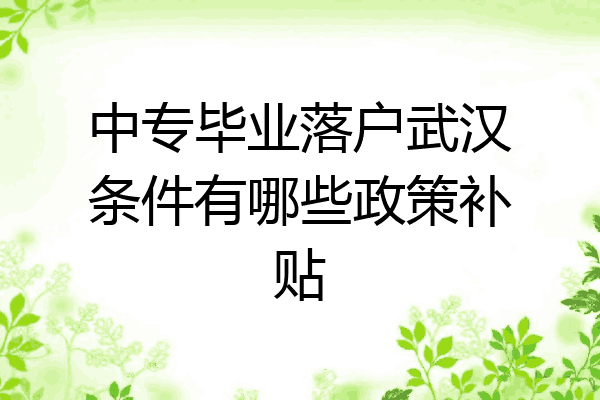 中专毕业落户武汉条件有哪些政策补贴