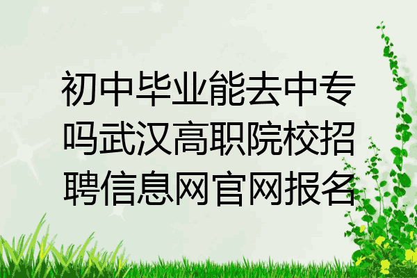 初中毕业能去中专吗武汉高职院校招聘信息网官网报名