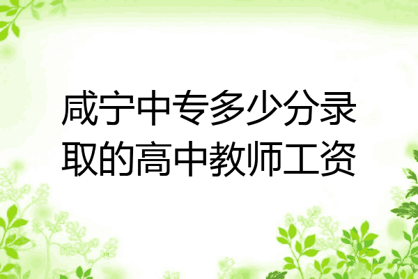 咸宁中专多少分录取的高中教师工资