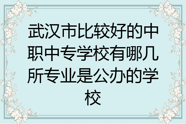 武汉市比较好的中职中专学校有哪几所专业是公办的学校