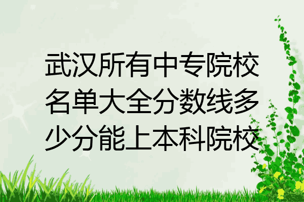 武汉所有中专院校名单大全分数线多少分能上本科院校