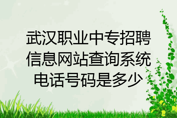 武汉职业中专招聘信息网站查询系统电话号码是多少