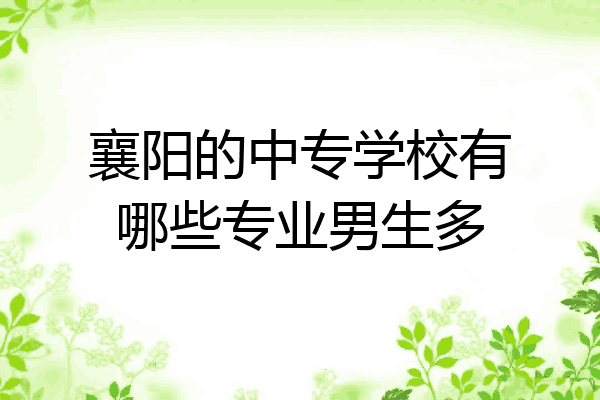 襄阳的中专学校有哪些专业男生多