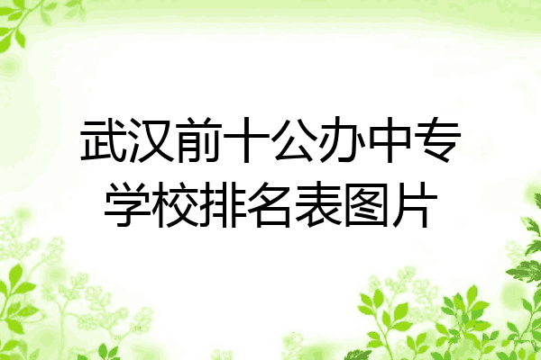 武汉前十公办中专学校排名表图片