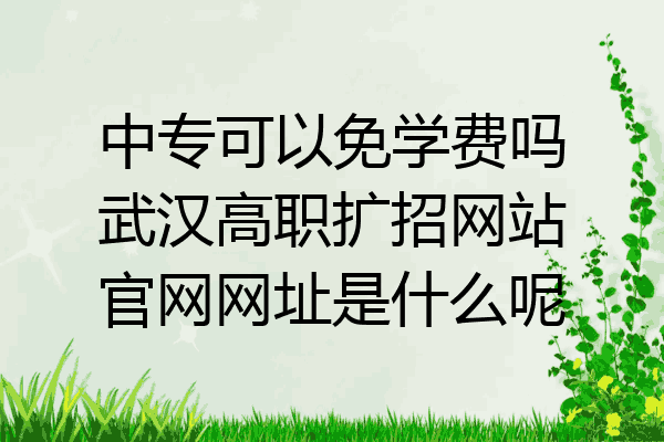 中专可以免学费吗武汉高职扩招网站官网网址是什么呢