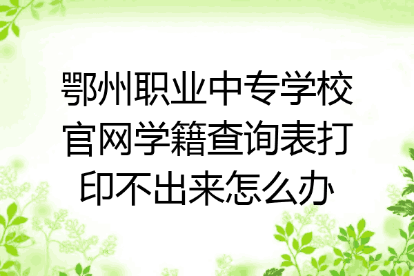 鄂州职业中专学校官网学籍查询表打印不出来怎么办