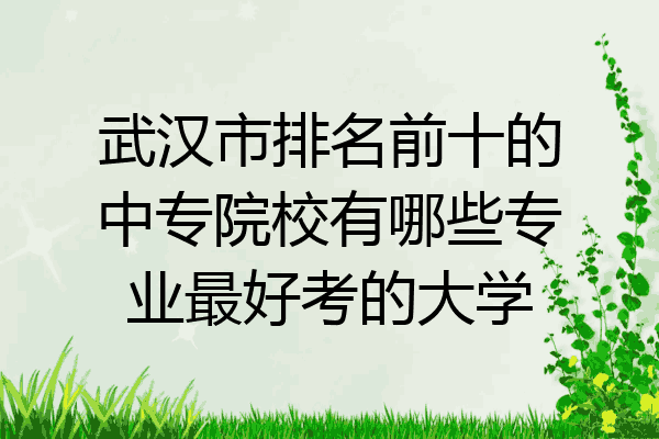 武汉市排名前十的中专院校有哪些专业最好考的大学