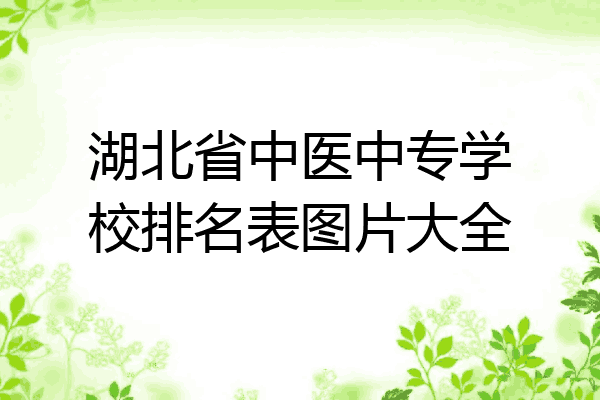 湖北省中医中专学校排名表图片大全