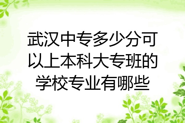 武汉中专多少分可以上本科大专班的学校专业有哪些