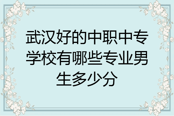 武汉好的中职中专学校有哪些专业男生多少分