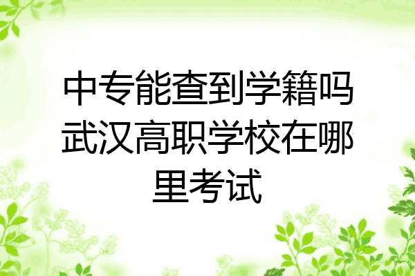 中专能查到学籍吗武汉高职学校在哪里考试