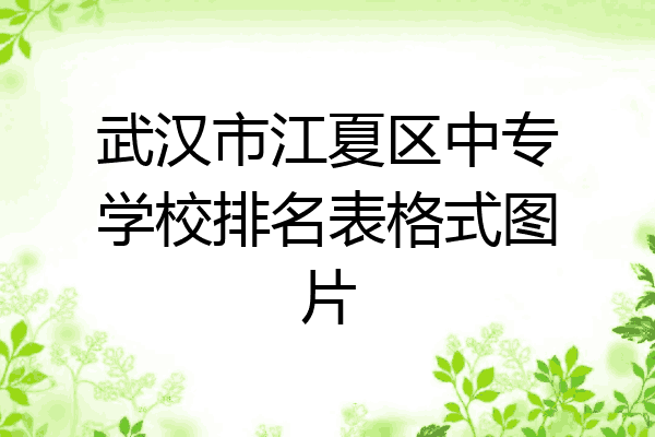 武汉市江夏区中专学校排名表格式图片