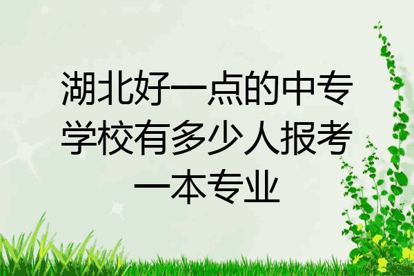 湖北好一点的中专学校有多少人报考一本专业