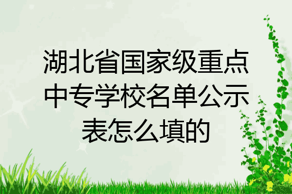 湖北省国家级重点中专学校名单公示表怎么填的
