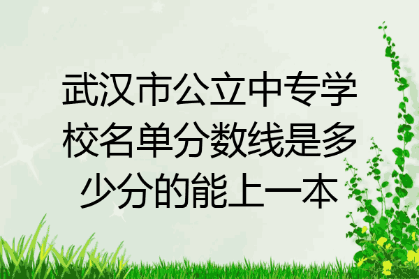 武汉市公立中专学校名单分数线是多少分的能上一本