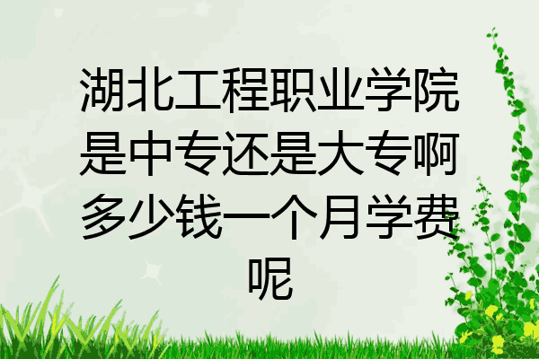 湖北工程职业学院是中专还是大专啊多少钱一个月学费呢
