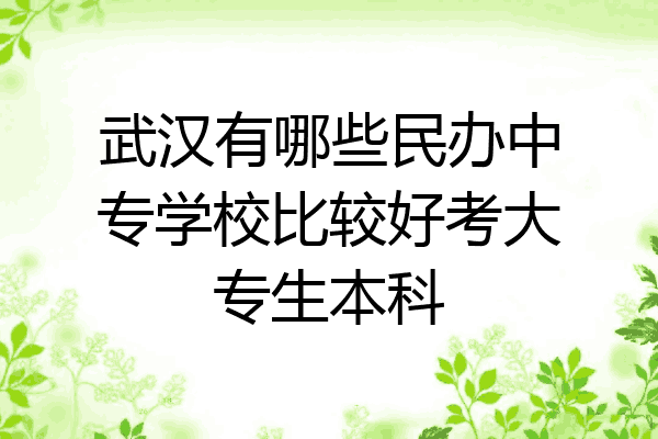 武汉有哪些民办中专学校比较好考大专生本科