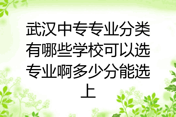 武汉中专专业分类有哪些学校可以选专业啊多少分能选上