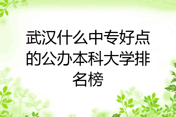 武汉什么中专好点的公办本科大学排名榜