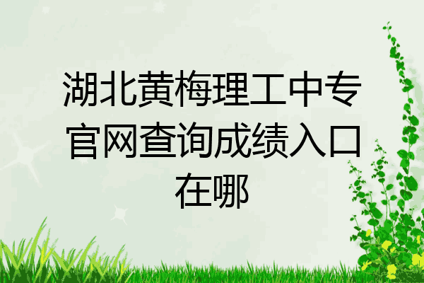 湖北黄梅理工中专官网查询成绩入口在哪