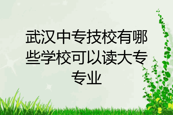 武汉中专技校有哪些学校可以读大专专业