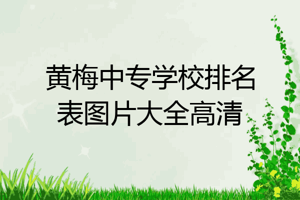 黄梅中专学校排名表图片大全高清