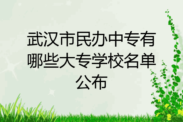 武汉市民办中专有哪些大专学校名单公布