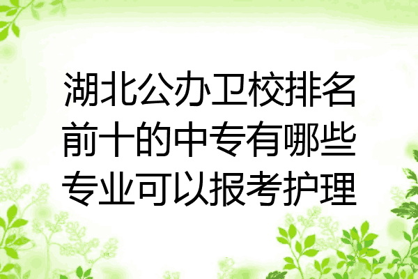 湖北公办卫校排名前十的中专有哪些专业可以报考护理