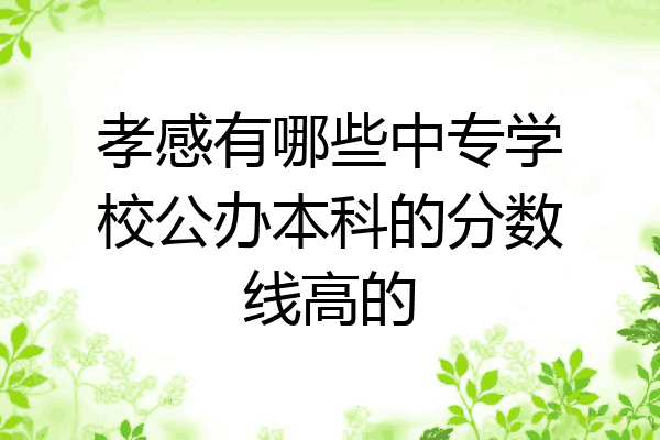 孝感有哪些中专学校公办本科的分数线高的