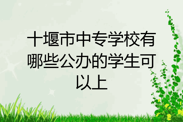 十堰市中专学校有哪些公办的学生可以上