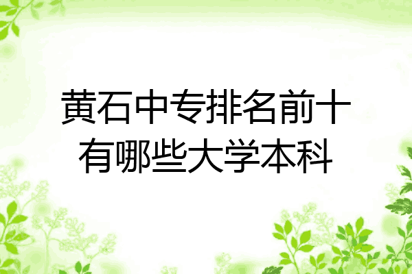 黄石中专排名前十有哪些大学本科