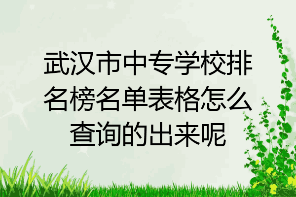 武汉市中专学校排名榜名单表格怎么查询的出来呢