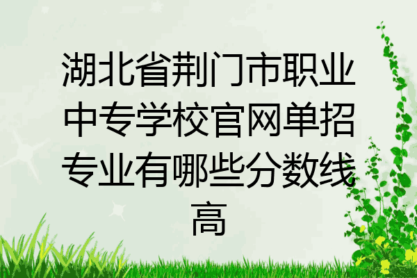 湖北省荆门市职业中专学校官网单招专业有哪些分数线高
