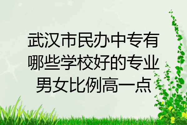 武汉市民办中专有哪些学校好的专业男女比例高一点