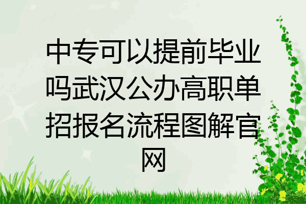 中专可以提前毕业吗武汉公办高职单招报名流程图解官网