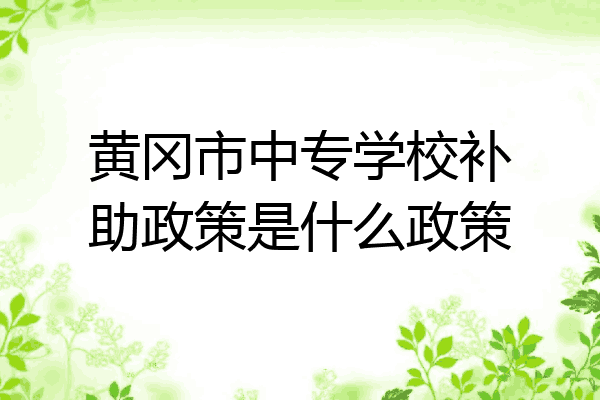 黄冈市中专学校补助政策是什么政策