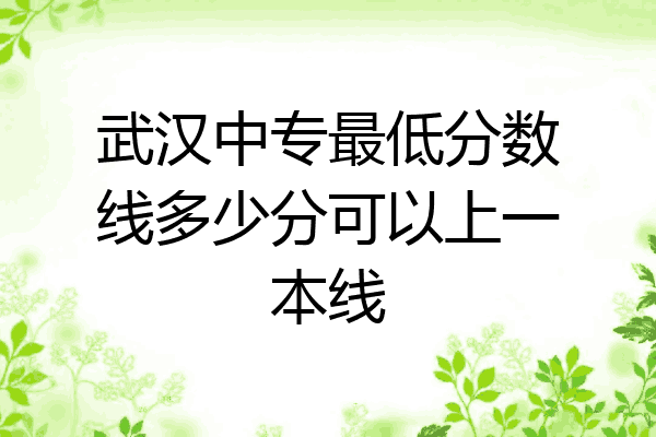 武汉中专最低分数线多少分可以上一本线
