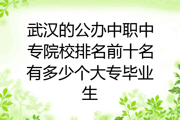 武汉的公办中职中专院校排名前十名有多少个大专毕业生