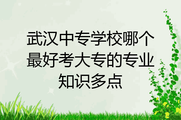 武汉中专学校哪个最好考大专的专业知识多点