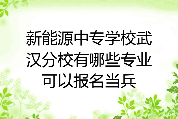 新能源中专学校武汉分校有哪些专业可以报名当兵