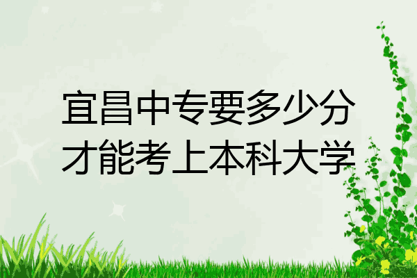 宜昌中专要多少分才能考上本科大学