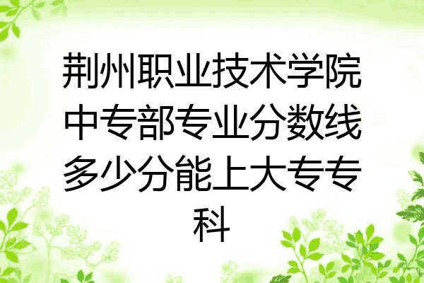 荆州职业技术学院中专部专业分数线多少分能上大专专科