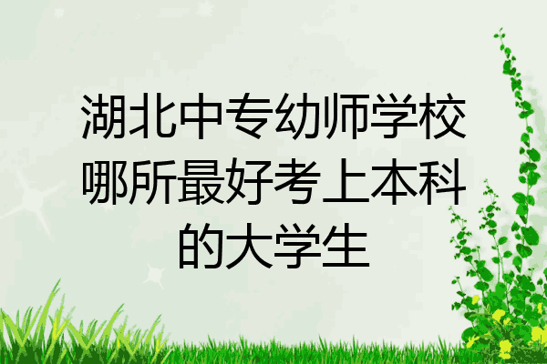湖北中专幼师学校哪所最好考上本科的大学生