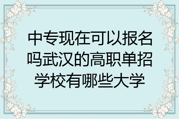 中专现在可以报名吗武汉的高职单招学校有哪些大学