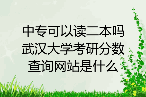 中专可以读二本吗武汉大学考研分数查询网站是什么